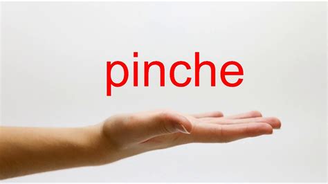 what does pinche mean in spanish|how to pronounce pinche.